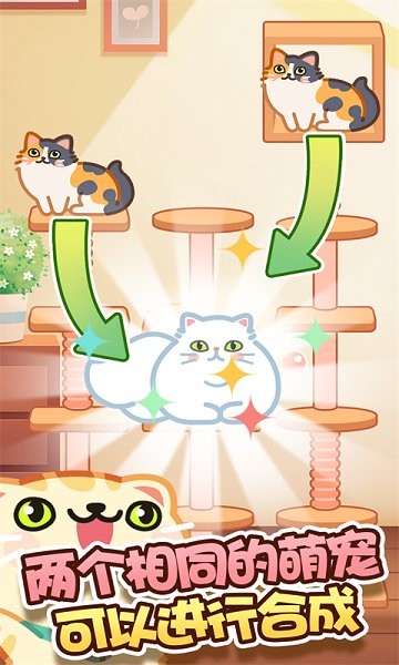 合成吧猫咪图3