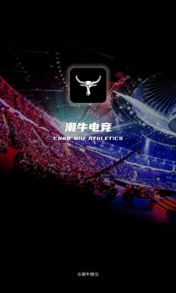 潮牛电竞图1