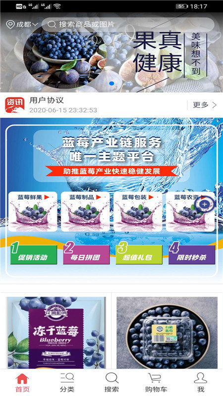 天下蓝莓图1