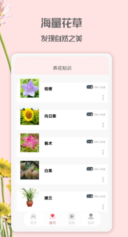 花园管家游戏