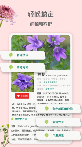 花园管家游戏图2