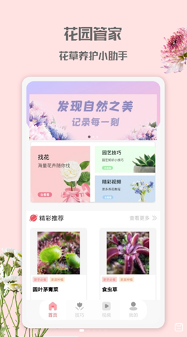 花园管家游戏图3