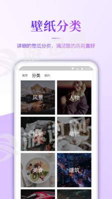 壁纸无忧