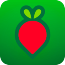 叮咚买菜配送官方版