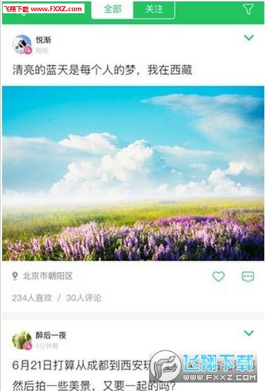 大树旅行下载图2