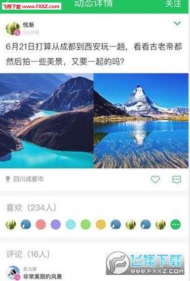 大树旅行下载图1