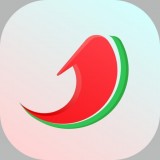 西瓜淘金图标