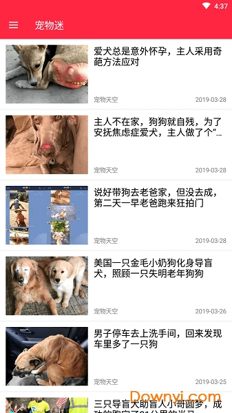 火猫宠社图1