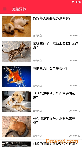 火猫宠社图3