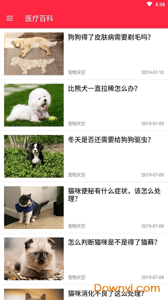 火猫宠社图2