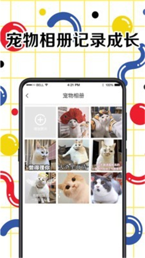 宠物交流翻译器图3