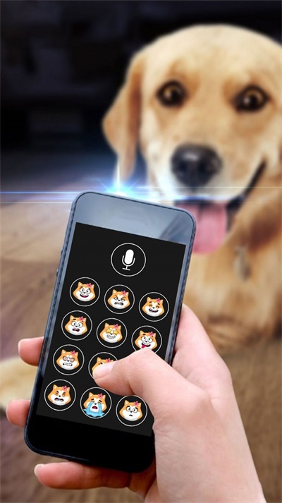 修狗翻译模拟器图1