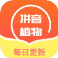 肉叶汉字拼音图标