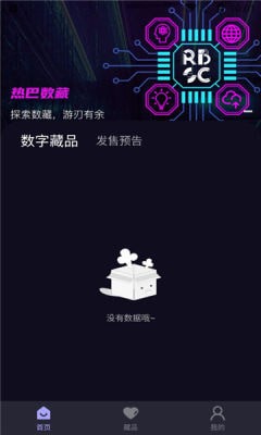 热巴数藏图3