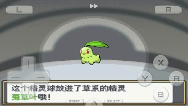 口袋妖怪心金完整版图2