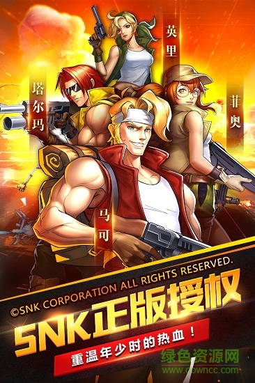 合金弹头集结图1