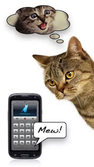 变声器人猫交流图3