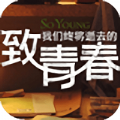 致青春动态壁纸图标
