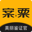 案栗医生图标