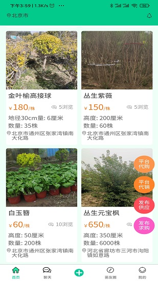 苗木人客户端图2