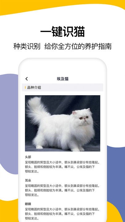 猫语翻译大全图1