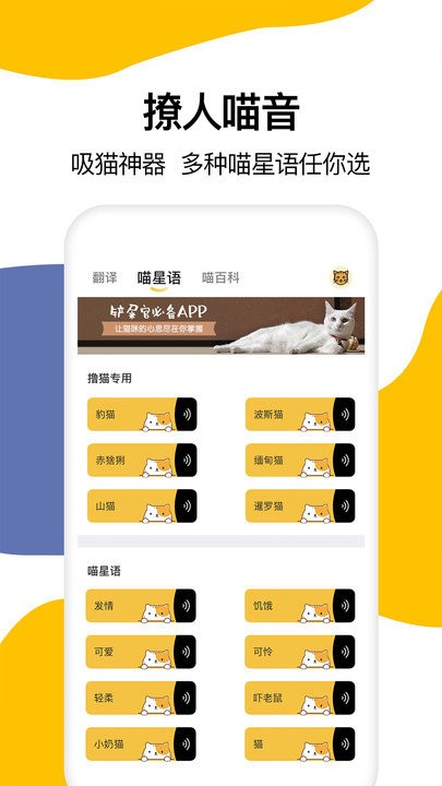 猫语翻译大全图4