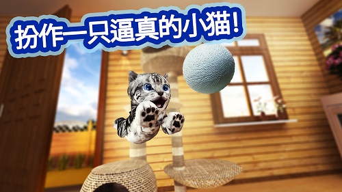 猫咪模拟图5