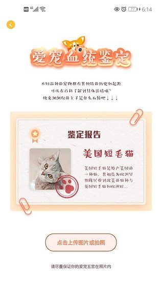 宠居app(宠物服务)