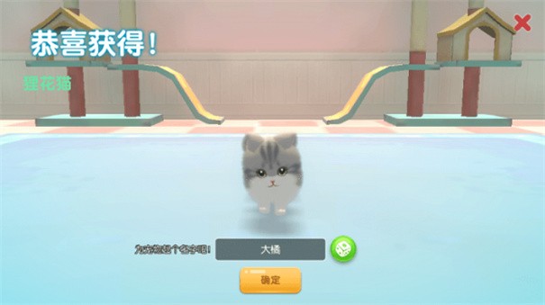 养了个猫官方正版图3