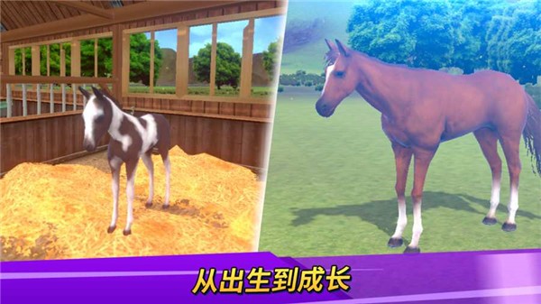 德比生活手游(Derby Life)