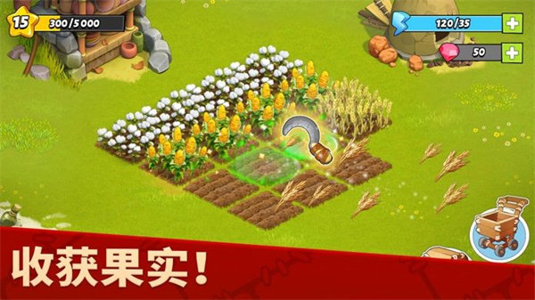 家庭岛图2