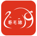 卷毛猪图标