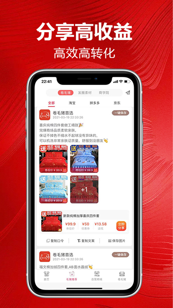 卷毛猪图2