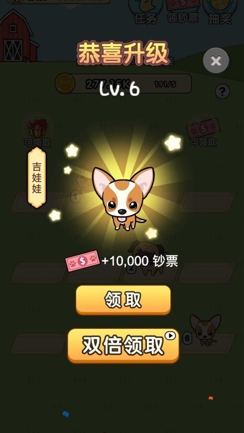 我的狗狗奇奇图2