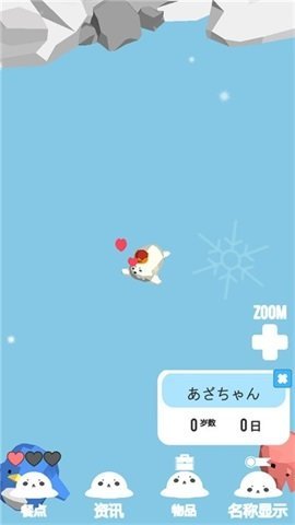 海豹生活图1