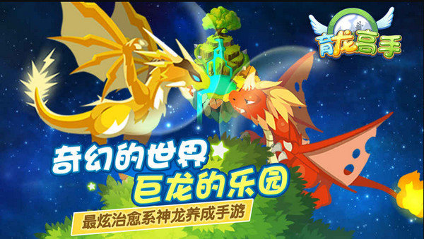育龙高手游戏安卓版图3