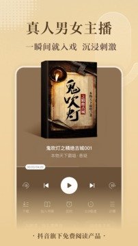 番茄小说赚钱版图1