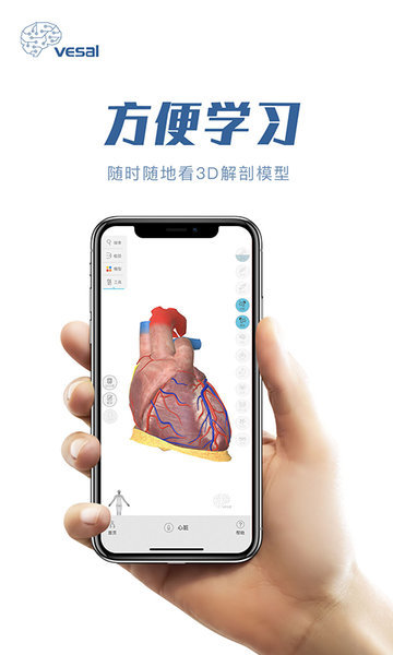 解剖大师免费版图1