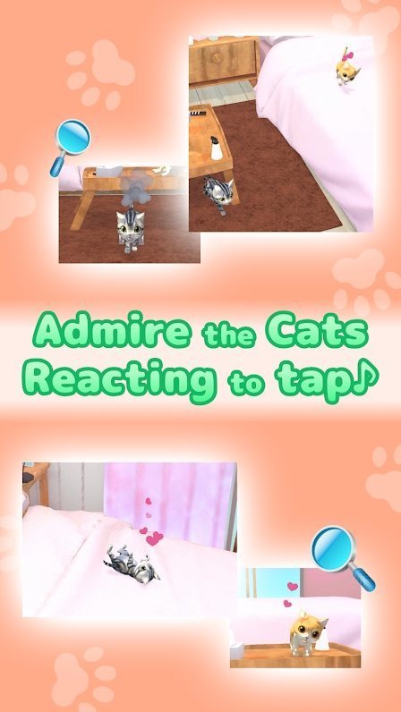 猫是液体(CatsAreLiquid)