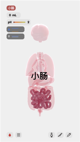 LIFE生命模拟器截图1