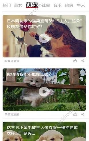 今日趣读安卓版图3