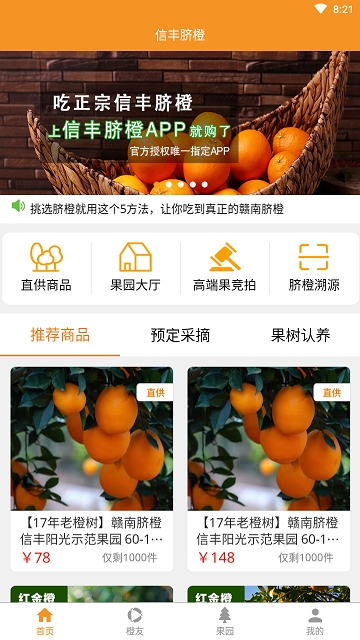 信丰脐橙图1