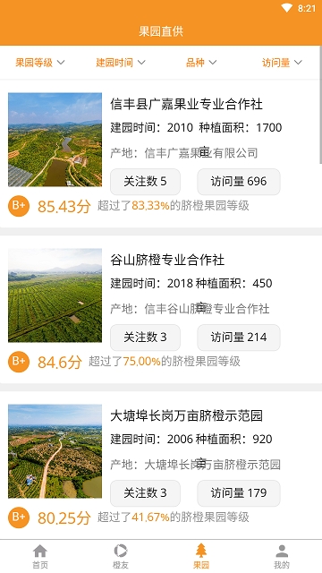 信丰脐橙图4
