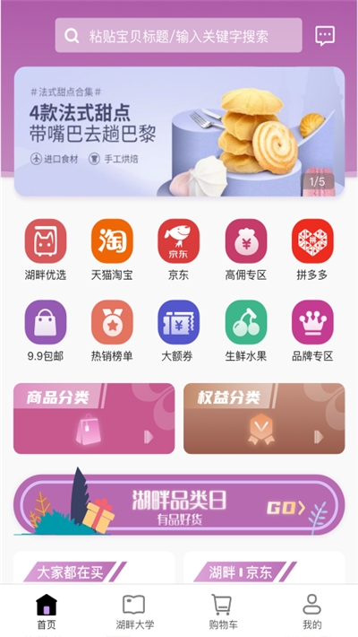 湖畔猫app