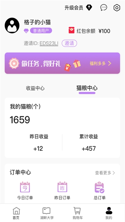 湖畔猫图3