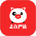 志在严选图标