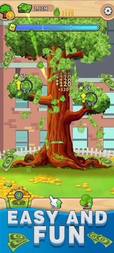 金钱树花园图2