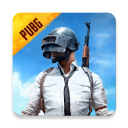 pubg印度服