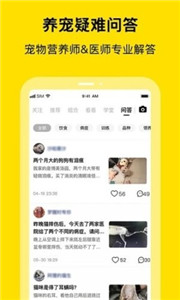 喵喵互助
