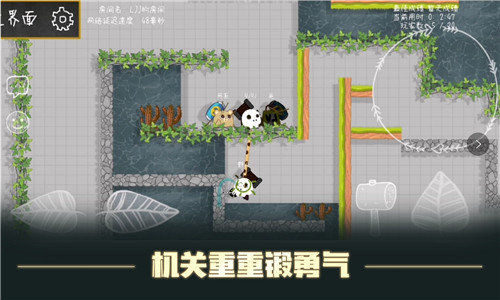 森林大会图2